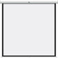 Pantalla De Proyeccion Qian (Qpg-69502) 100", Blanco