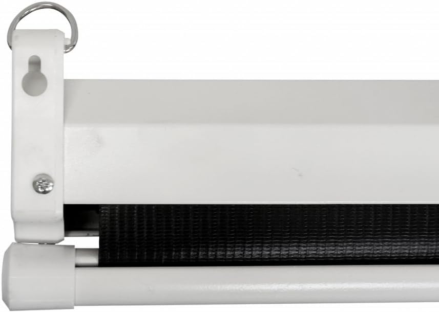 Pantalla De Proyeccion Qian (Qpg-69502) 100", Blanco